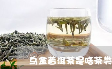 乌金普洱茶是啥茶类别的/2023102595157