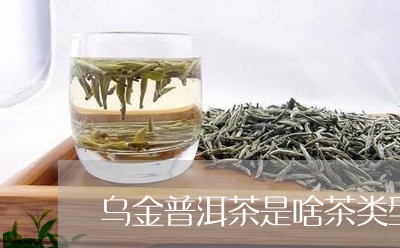 乌金普洱茶是啥茶类型的/2023081736251