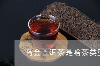 乌金普洱茶是啥茶类型的/2023102401714