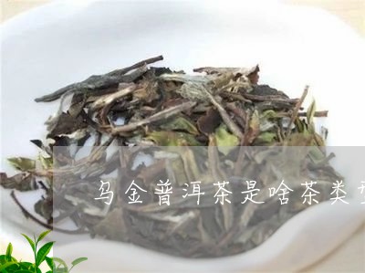 乌金普洱茶是啥茶类型的茶/2023112483704