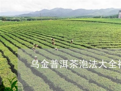 乌金普洱茶泡法大全视频/2023110150614