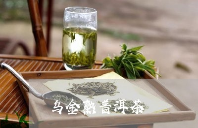 乌金熟普洱茶/2023042656845