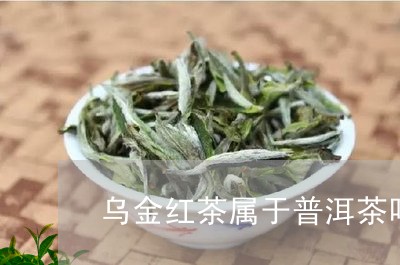 乌金红茶属于普洱茶吗/2023073003835