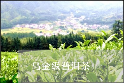 乌金级普洱茶/2023042658009