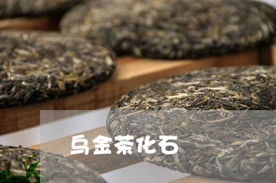 乌金茶化石/2023090207269