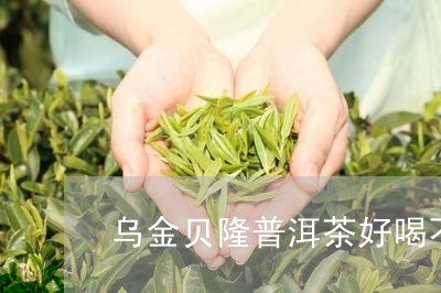 乌金贝隆普洱茶好喝不/2023073191604