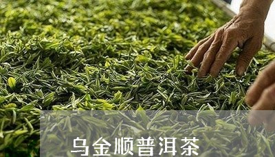 乌金顺普洱茶/2023112629593