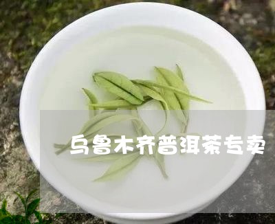 乌鲁木齐普洱茶专卖/2023120584137