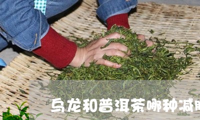 乌龙和普洱茶哪种减肥/2023080232816