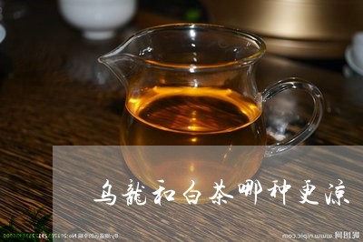 乌龙和白茶哪种更凉/2023121621514