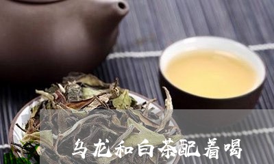 乌龙和白茶配着喝/2023061482047