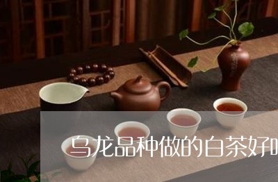 乌龙品种做的白茶好吗/2023092736404