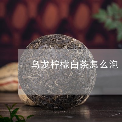 乌龙柠檬白茶怎么泡/2023121600696