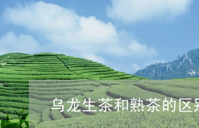 乌龙生茶和熟茶的区别/2023092216068