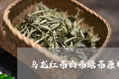 乌龙红茶白茶绿茶原料/2023092782727