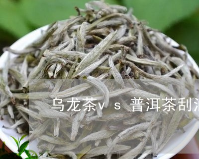 乌龙茶vs普洱茶刮油/2023080397389