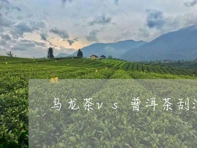 乌龙茶vs普洱茶刮油/2023100838461