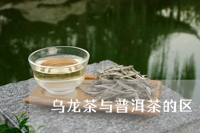 乌龙茶与普洱茶的区別/2023062205968