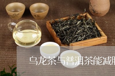 乌龙茶与普洱茶能减肥/2023073146028