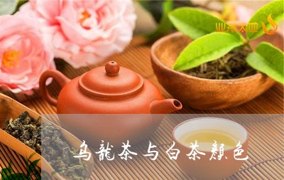 乌龙茶与白茶颜色/2023061427262