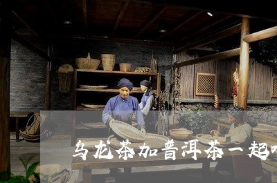 乌龙茶加普洱茶一起喝/2023061968383