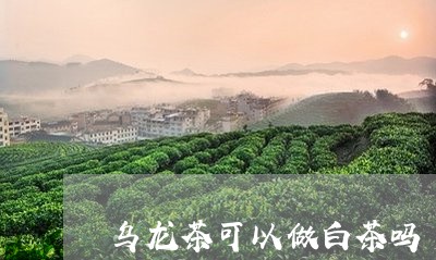 乌龙茶可以做白茶吗/2023071426248