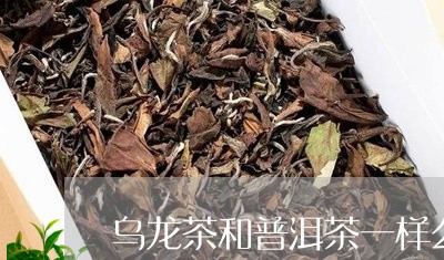 乌龙茶和普洱茶一样么/2023093097584