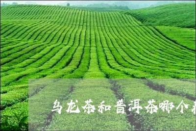 乌龙茶和普洱茶哪个养胃好/2023102570371