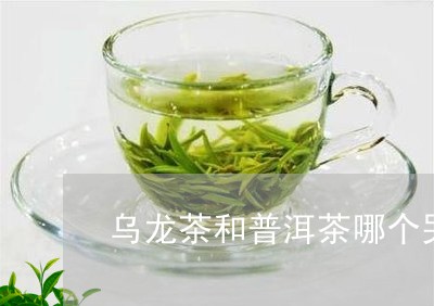 乌龙茶和普洱茶哪个哭/2023061477169