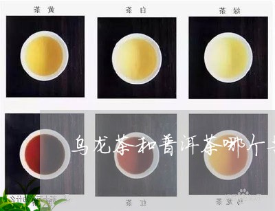 乌龙茶和普洱茶哪个苦涩/2023112880515