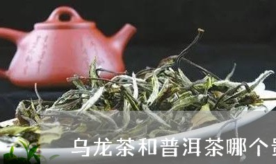 乌龙茶和普洱茶哪个贵些/2023102579506