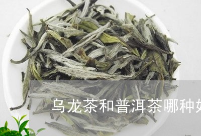 乌龙茶和普洱茶哪种好/2023062492717