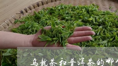 乌龙茶和普洱茶的哪个好/2023112893726