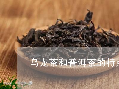 乌龙茶和普洱茶的特点/2023073028381