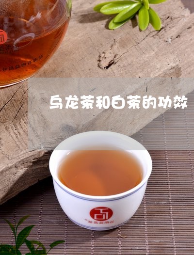 乌龙茶和白茶的功效/2023081236150