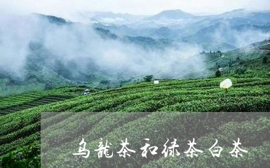 乌龙茶和绿茶白茶/2023061433816