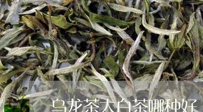 乌龙茶大白茶哪种好/2023071553795