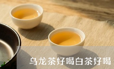 乌龙茶好喝白茶好喝/2023121685380