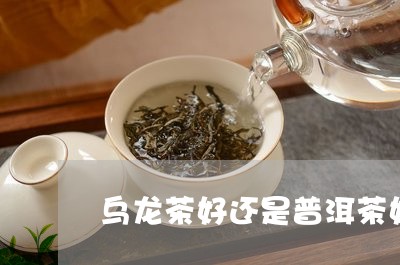 乌龙茶好还是普洱茶好呢/2023102431483