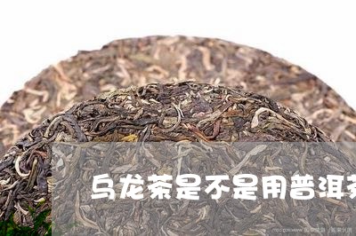 乌龙茶是不是用普洱茶/2023062350692