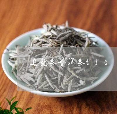 乌龙茶普洱茶tio/2023091440584