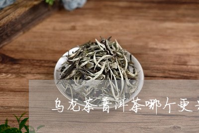 乌龙茶普洱茶哪个更贵/2023100745151