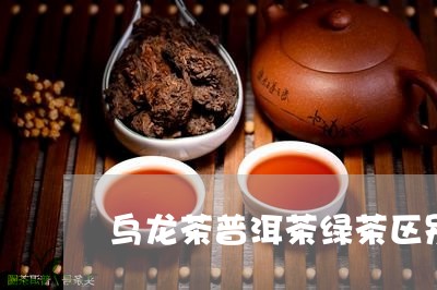 乌龙茶普洱茶绿茶区别/2023100727251