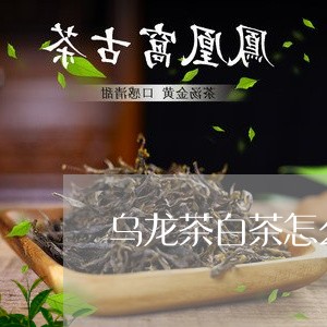 乌龙茶白茶怎么区分/2023121629482