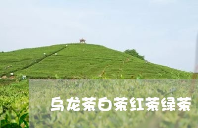 乌龙茶白茶红茶绿茶/2023121619484