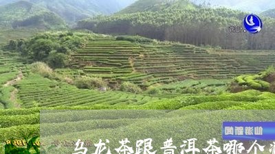 乌龙茶跟普洱茶哪个减肥效果好呢/2023081563614