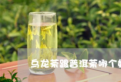 乌龙茶跟普洱茶哪个好/2023062480612