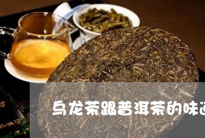 乌龙茶跟普洱茶的味道/2023062338182