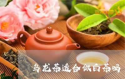 乌龙茶适合做白茶吗/2023121603825