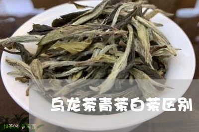 乌龙茶青茶白茶区别/2023121661716